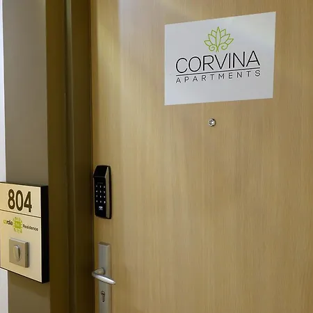 Corvina